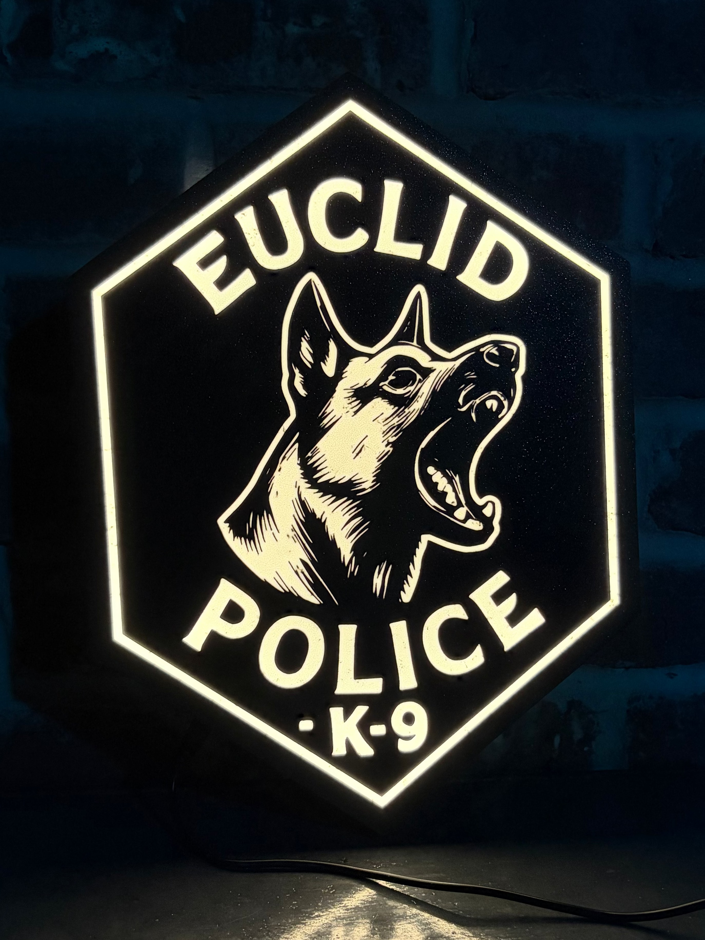 Euclid PD K9 Unit