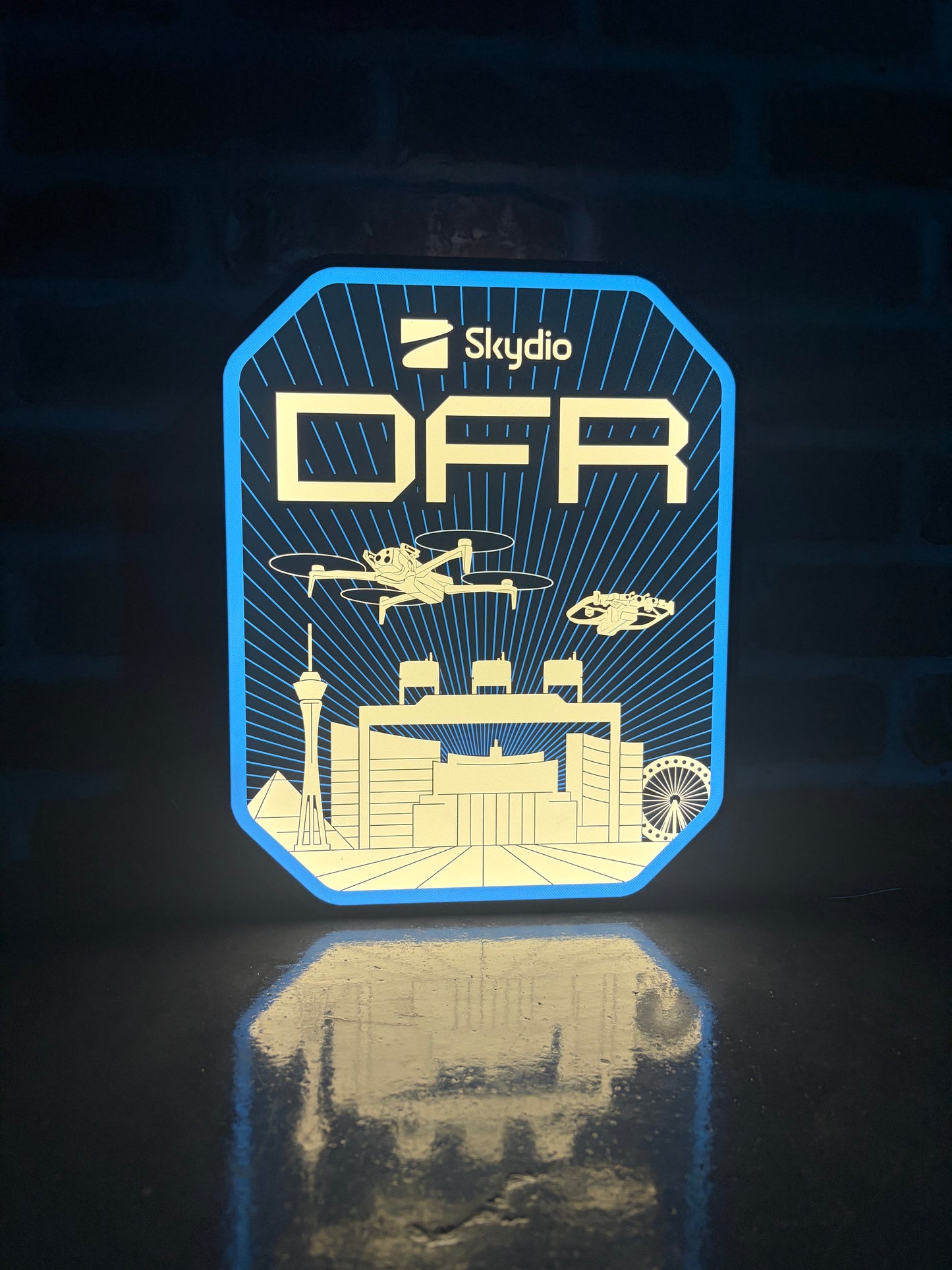 Skydio DFR Light Display